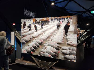 18.06.2024 Groartige Aufnahmen im Gasometer