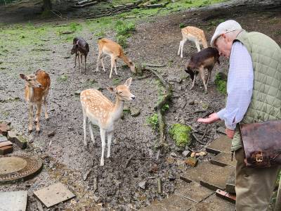 23.07.2024 Besuch des GRUGA-Parks in Essen